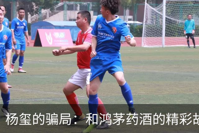杨玺的骗局：和鸿茅药酒的精彩故事